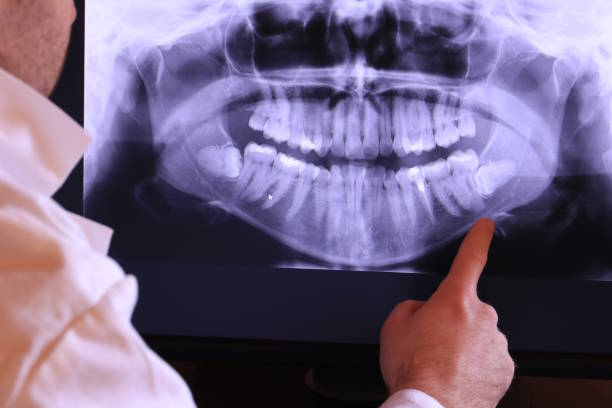 Best Emergency X-Rays and Diagnostics in Fayette, LA